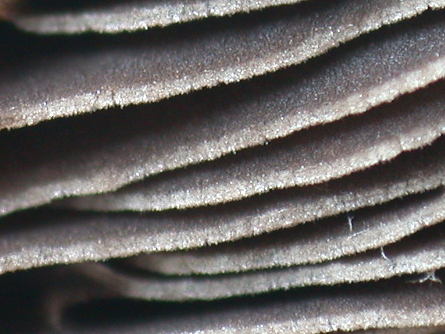 Tre elementi particolari ... QUIZ